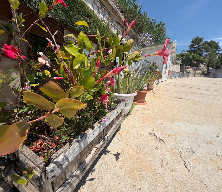 Le jardin écoresponsable du Port des Fourmis