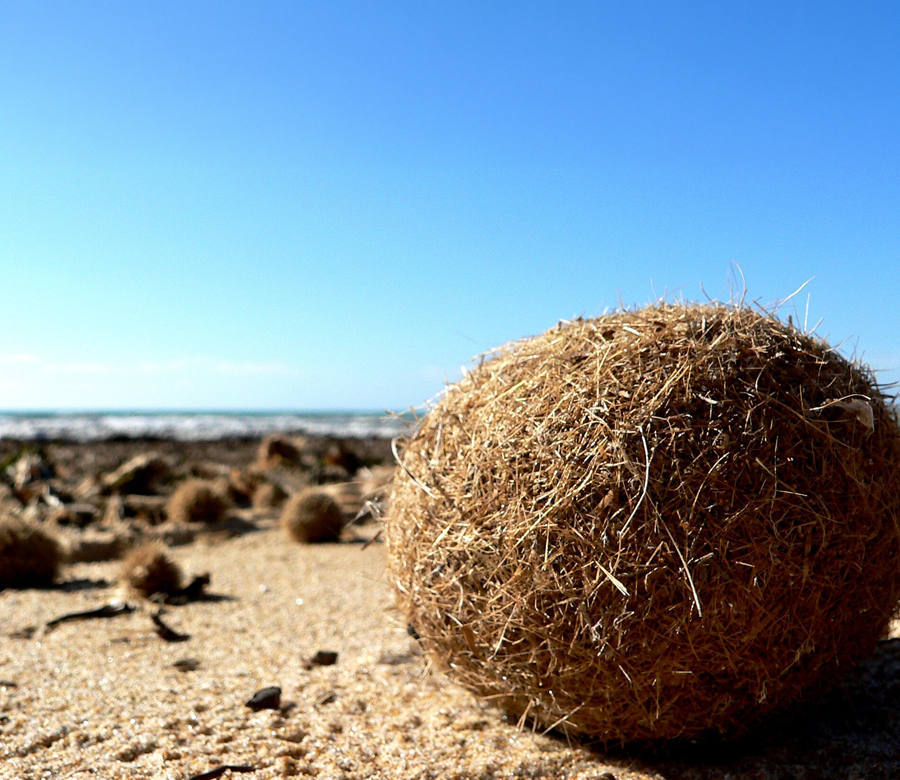 Nos plages ont du caractère