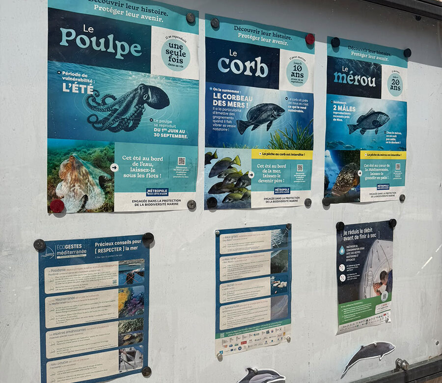 Au Port des Fourmis, la Méditerranée s’affiche !